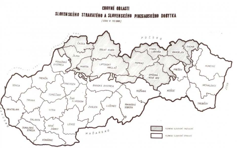 simmental.sk - Zväz chovateľov Slovenského strakatého dobytka - družstvo