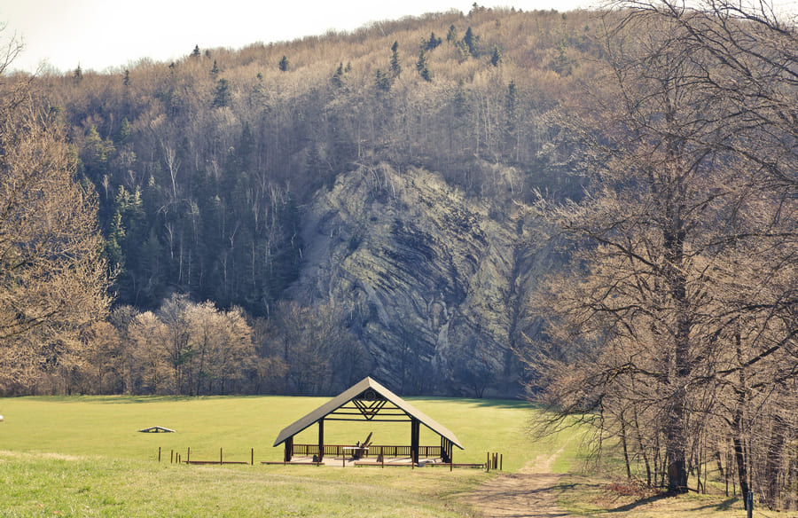 simmental.sk - Zväz chovateľov Slovenského strakatého dobytka - družstvo